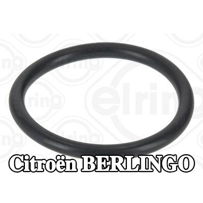 ELRING حشية، منظم الحرارة — Citroën Berlingo