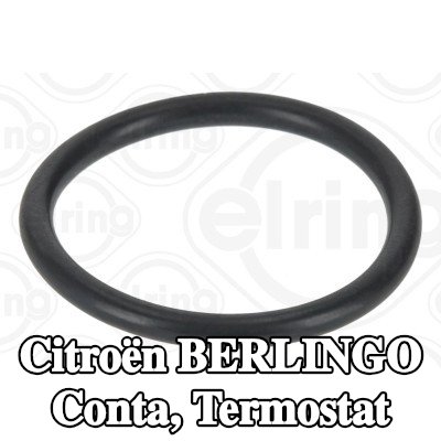 ELRING Conta, termostat — Citroën Berlingo
