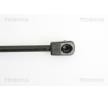 TRISCAN Bagaj kapağı desteği 440mm — Lexus Ct (3)