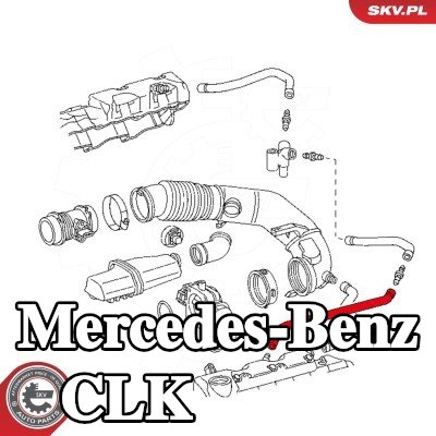 ESEN SKV خرطوم الزيت — Mercedes-Benz Clk