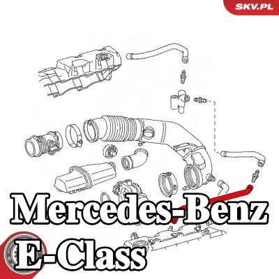 ESEN SKV خرطوم الزيت — 2000 Mercedes-Benz E-Class