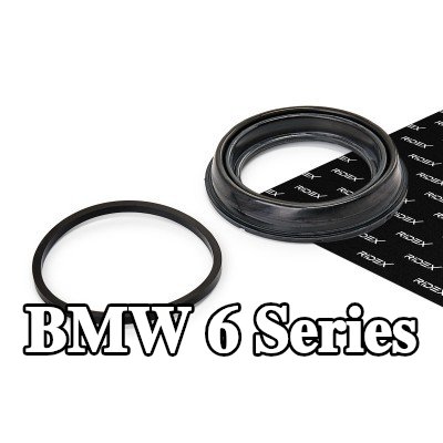 RIDEX طقم إصلاح، مكبس الفرامل — 2003 BMW 6 Series