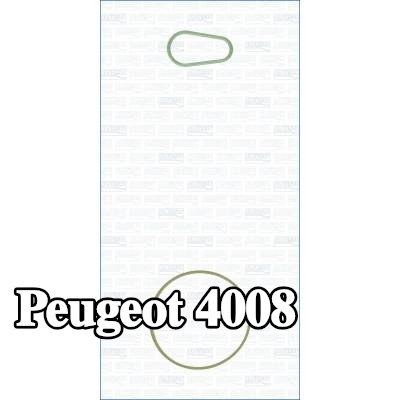 AJUSA مجموعة مانعات التسرب، مضخة التفريغ — Peugeot 4008