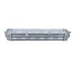 NRF Intercooler — Kia Proceed (3)