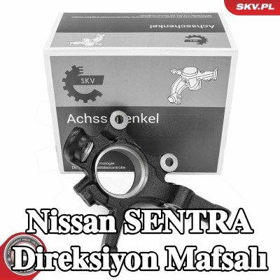 ESEN SKV Direksiyon mafsalı Ön Aks Sağ — Nissan Sentra