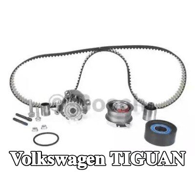 BOSCH مجموعة مضخة المياه وحزام التوقيت عدد الأسنان: 160, Width: 30mm — 2012 Volkswagen Tiguan