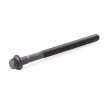REINZ Cıvata Kiti, silindir kafası M12, 157mm — Renault Safrane (3)