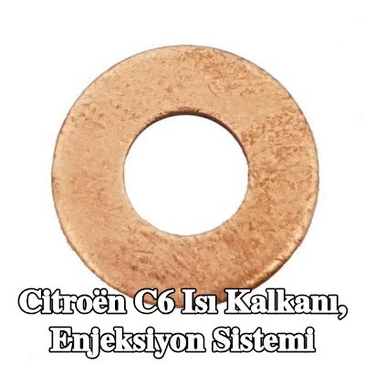 PLANET TECH Isı Kalkanı, enjeksiyon sistemi — 2005 Citroën C6