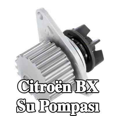 VALEO Su pompası Diş Sayısı: 20, kapak olmadan, conta/sızdırmazlık elemanları ile — 1990 Citroën Bx