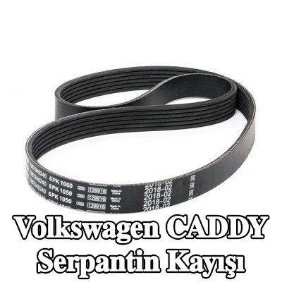 BOSCH Serpantin kayışı 1050mm, Number of ribs: 6 — 2010 Volkswagen Caddy