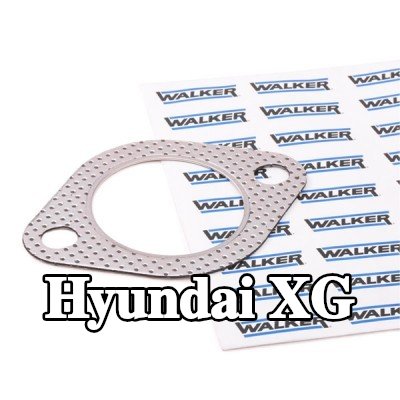 WALKER حشية أنبوب العادم — Hyundai Xg