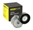 RIDEX PLUS Gergi kasnağı — Peugeot 607 (1)