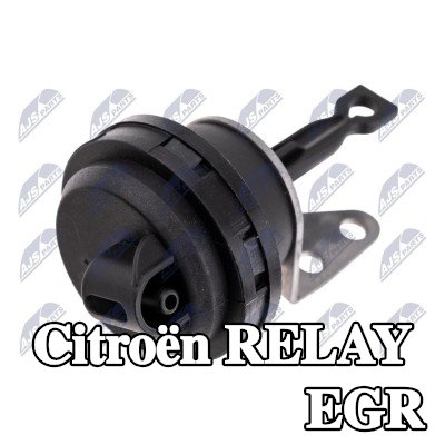NTY صمام التحكم بالفراغ، EGR — Citroën Relay
