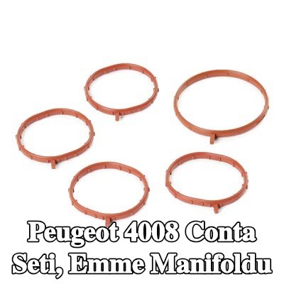 ELRING Conta Seti, emme manifoldu — Peugeot 4008