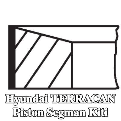 MAHLE Piston Segman Kiti — Hyundai Terracan