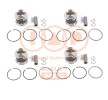 IAP QUALITY PARTS Piston segmanlı piston — 2002 Nissan Cabstar E (2)