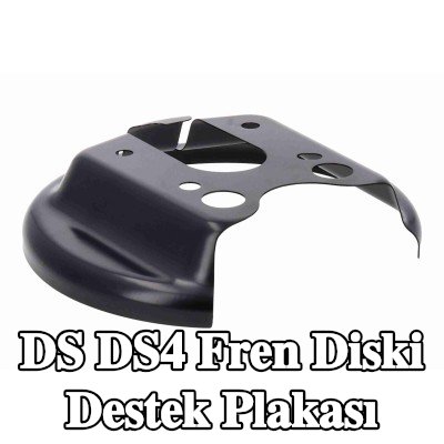 VAICO Fren diski destek plakası Arka Aks Sol, Arka Aks Sağ — DS Ds4