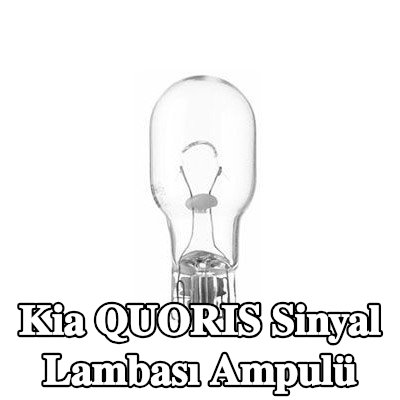 SPAHN GLÜHLAMPEN Sinyal lambası ampulü W16W, 12V — Kia Quoris