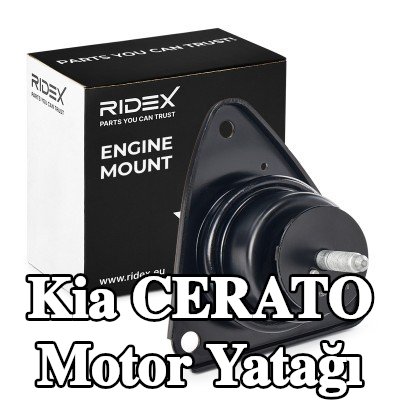 RIDEX Motor yatağı Sağ — 2005 Kia Cerato