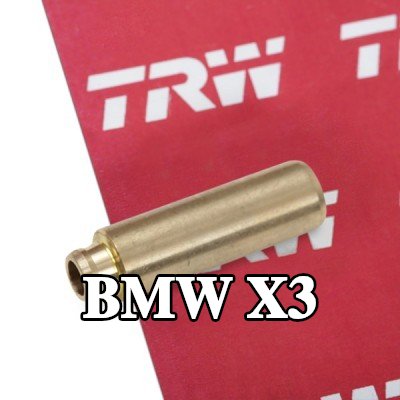 TRW Engine Component أدلة الصمامات جانب العادم, جانب السحب — 2003 BMW X3