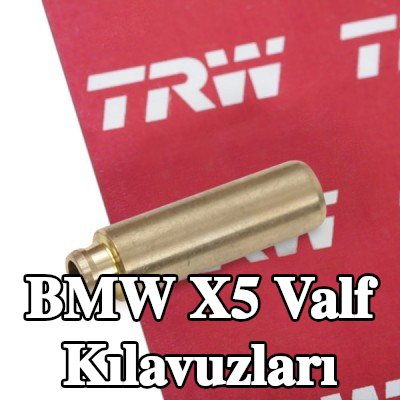 TRW Engine Component Egzoz Tarafı Valf Kılavuzları, Emme Tarafı — 2002 BMW X5