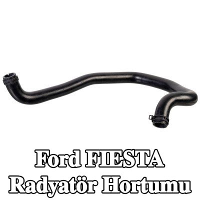 FEBI BILSTEIN Radyatör hortumu Üst, kelepçeli — 2012 Ford Fiesta