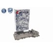 ACKOJA Külbütör kapağı — Lexus Is (2)