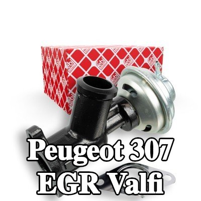 FEBI BILSTEIN Contalı/sızdırmazlık elemanlı EGR valfi — Peugeot 307