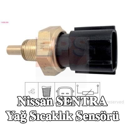 EPS Yağ sıcaklık sensörü İtalya'da üretilmiştir - OE Eşdeğeri — Nissan Sentra