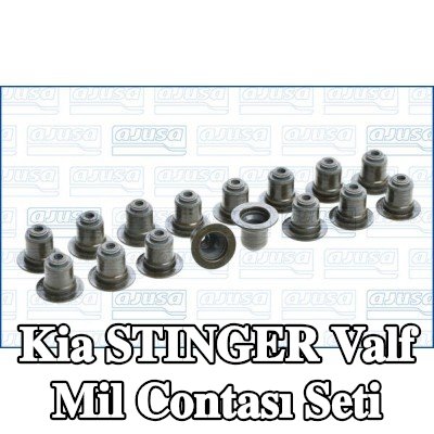 AJUSA Valf mil contası seti — Kia Stinger