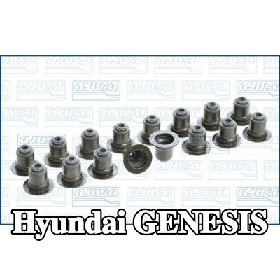 AJUSA مجموعة سدادات صمامات الصمامات — Hyundai Genesis