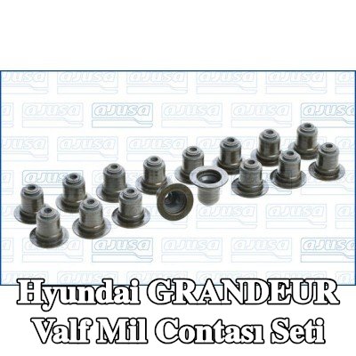 AJUSA Valf mil contası seti — 2016 Hyundai Grandeur