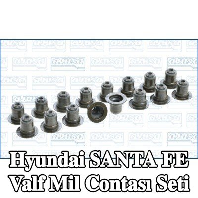 AJUSA Valf mil contası seti — Hyundai Santa Fe
