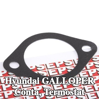 EPS Conta, termostat İtalya'da üretilmiştir - OE Eşdeğeri — Hyundai Galloper
