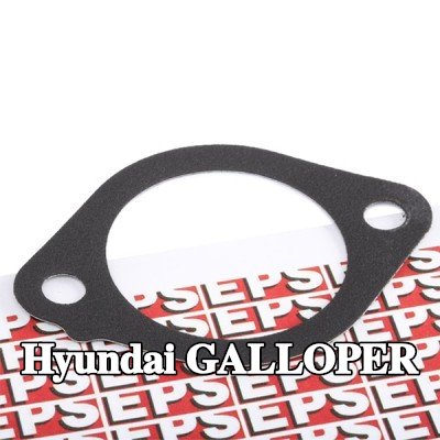EPS حشية, ثرموستات صنع في إيطاليا - مكافئ للمعدات الأصلية — Hyundai Galloper