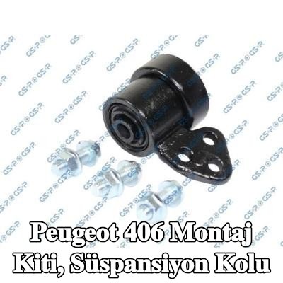 GSP Montaj kiti, süspansiyon kolu — Peugeot 406