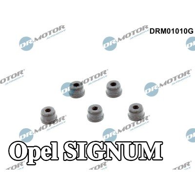 DR.MOTOR AUTOMOTIVE طقم إصلاح، أسطوانة القابض الرئيسية — Opel Signum