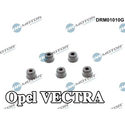 DR.MOTOR AUTOMOTIVE طقم إصلاح، أسطوانة القابض الرئيسية — Opel Vectra