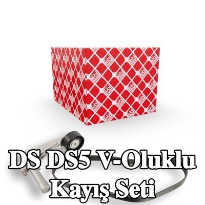FEBI BILSTEIN V-Oluklu Kayış Seti — DS Ds5