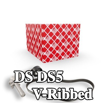 FEBI BILSTEIN مجموعة أحزمة V-Ribbed — DS Ds5