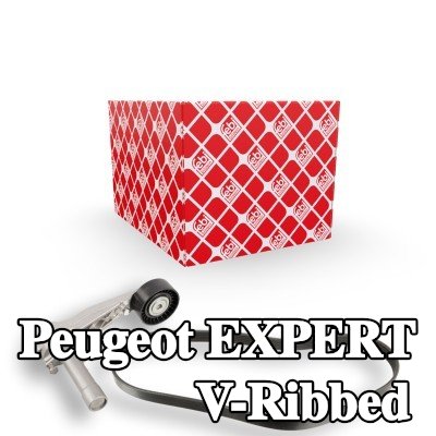 FEBI BILSTEIN مجموعة أحزمة V-Ribbed — 2000 Peugeot Expert