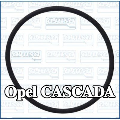 AJUSA حشية، فلتر الزيت — Opel Cascada