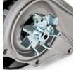 RIDEX Su pompası — Honda Element (4)