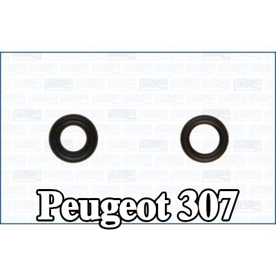 AJUSA طقم مانع تسرب الحاقن — Peugeot 307