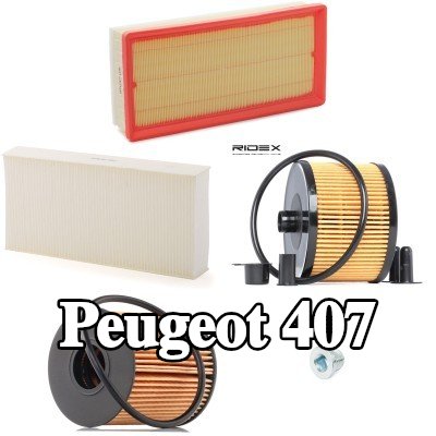 RIDEX مجموعة الفلاتر — 2004 Peugeot 407