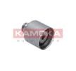 KAMOKA Zincir kasnağı — Nissan Primera (3)