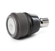 MOOG Rulmanlı Mafsal 17, 5mm — Ford Transit Courier (3)