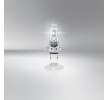 OSRAM LED ampul — Citroën Dispatch (4)