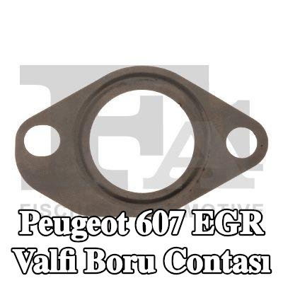 FA1 EGR valfi boru contası — Peugeot 607