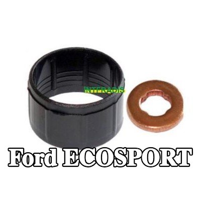 INTFRADIS خط الوقود — Ford Ecosport